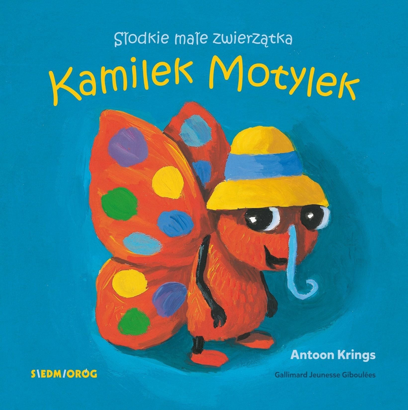 Kamil Motylek