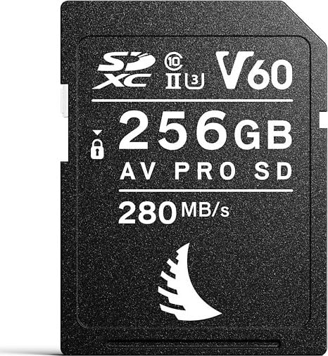 Karta Angelbird AV PRO SD MK2 V60 SDXC 256 GB Class 10 UHS-II/U3 V60 (AVP256SDMK2V60)