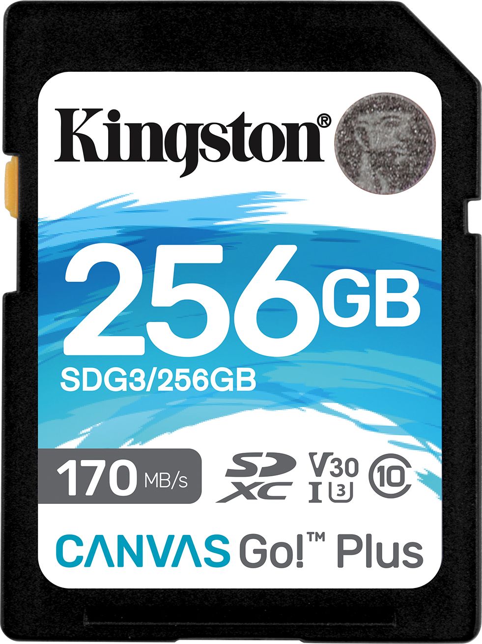 Carduri memorie - Kingston Canvas Go! Plus SDXC 256 GB clasa 10 UHS-I/U3 V30 (SDG3/256 GB)