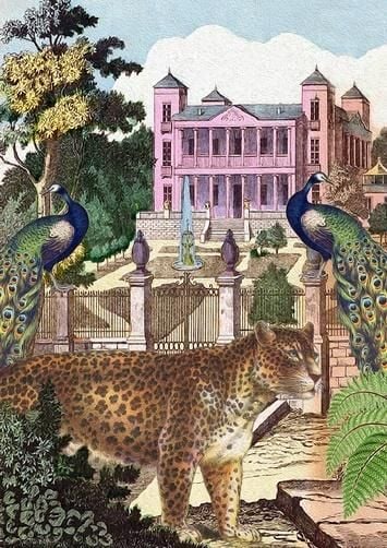 Madame Treacle Pass B6 cu plic Leopard în grădină
