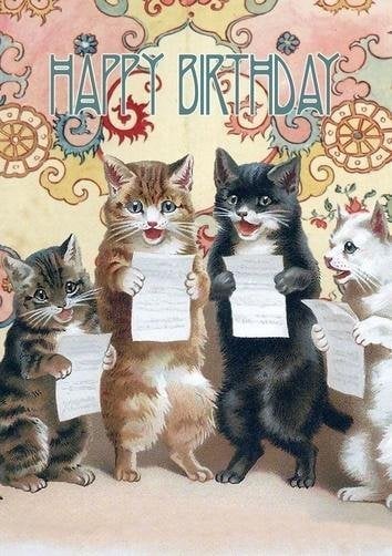 Madame Treacle Karnet B6 z kopertą Urodziny Chór kotów