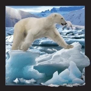 Magnet care merită păstrat Ursul polar 3D care sărește (182520)