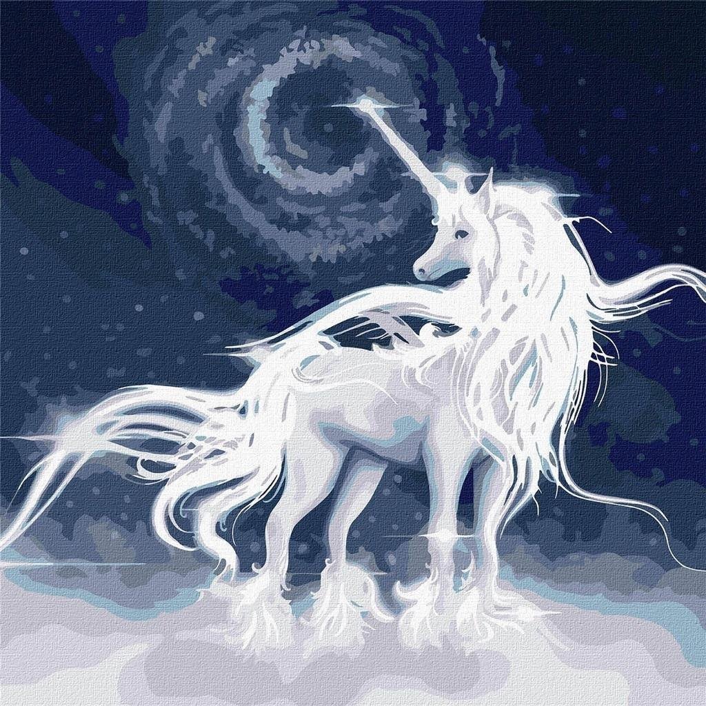 Pictura dupa numere - Unicorn alb 50x50cm