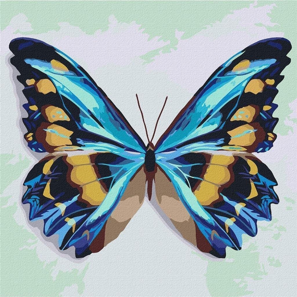 Pictura dupa numere - Fluture albastru 25x25cm