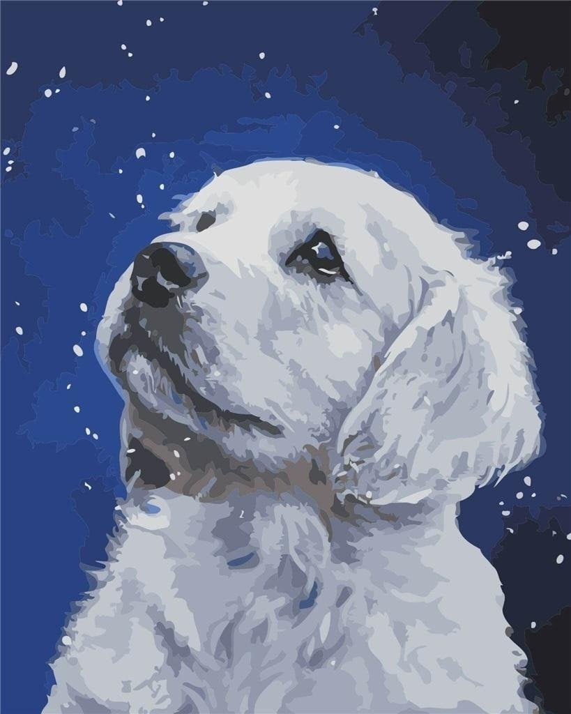 Pictura dupa numere - Labrador 40x50cm