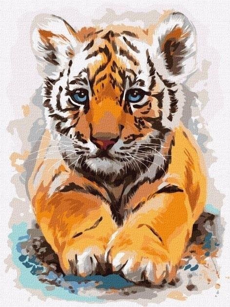 Pictură după numere - Micul tigru 30x40cm
