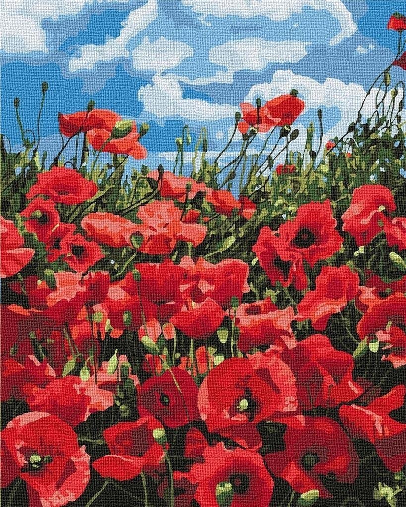 Pictură după numere - Amazing poppies 40x50cm