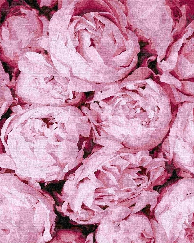 Pictura dupa numere - Tandrete roz 40x50cm