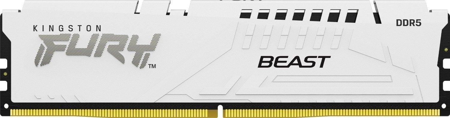 Memorie Kingston DDR5 Fury Beast 16GB(1*16GB)/5600 CL36 alb