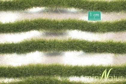 MiniNatur MiniNatur: dungi bicolore de iarbă de început de toamnă 336 cm