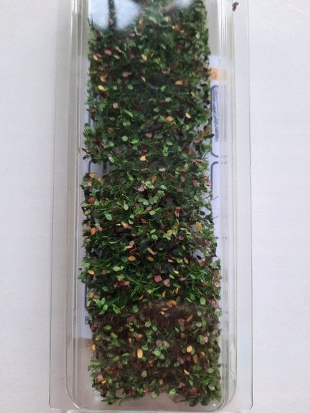 MiniNatur MiniNatur: Frunze și ramuri de fag la începutul toamnei (15x4 cm)