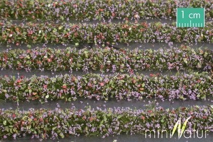 MiniNatur MiniNatur: Tuft - Dungi de plante violete inflorite 336 cm
