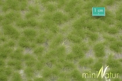MiniNatur MiniNatur: Tuft - Iarbă de primăvară lungă 1 (15x4 cm)