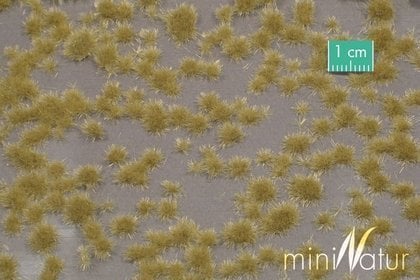 MiniNatur MiniNatur: Tuft - Iarbă scurtă de toamnă târziu (15x4 cm)
