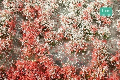 MiniNatur MiniNatur: Tuft - Summer Blooming Vegetation 1 (42x15 cm)