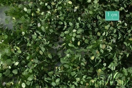 MiniNatur MiniNatur: Tuft - Summer Weeds 2 (15x4 cm)