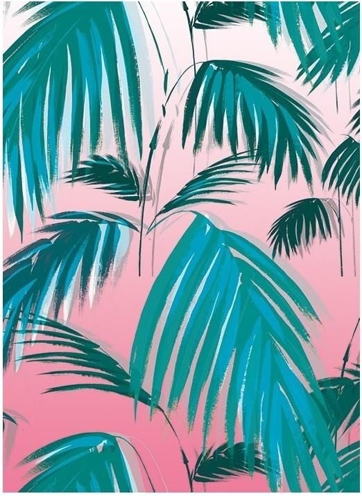 Museums & Galleries Karnet B6 z kopertą Sunset Palms