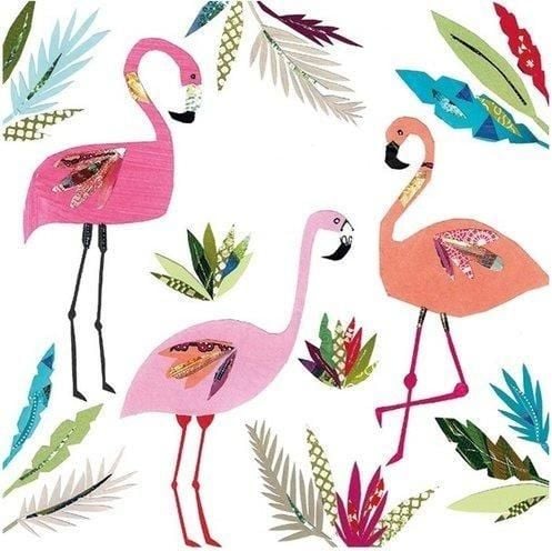 Museums & Galleries Karnet kwadrat z kopertą 3 Flamingos