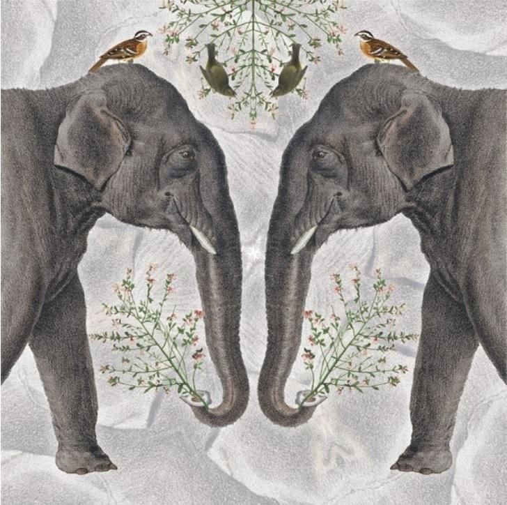 Museums & Galleries Karnet kwadrat z kopertą Indian Elephant