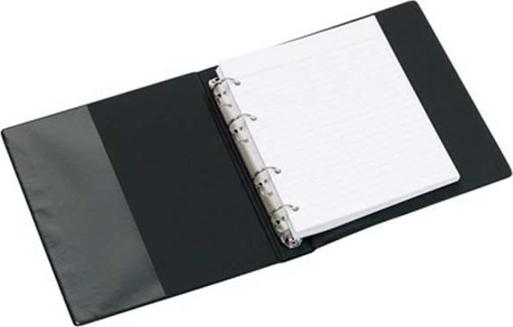 Notebook Spiral cu un cartuș înlocuibil, A4, 100p. Carton P + P
