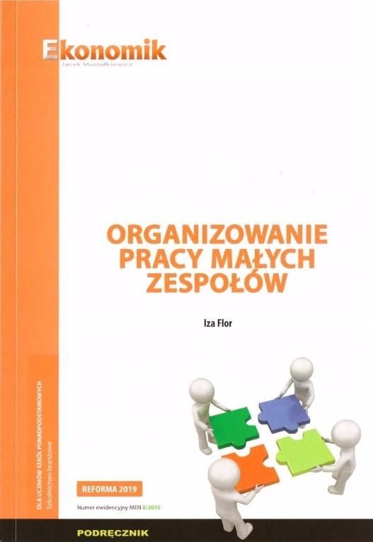 org. munca unor echipe mici w.2019 ECONOMICE