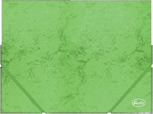 Folder Panta Plast pentru carton elastic A4 verde
