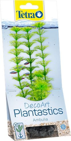 Plant DecoArt S Ambulia