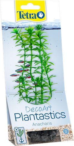 Plant DecoArt S Anacharis