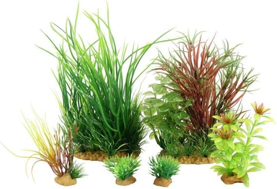 plantelor de decorare Modelul PlantKit Jalaya 4 (352148)