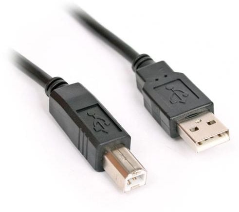 conexiune (imprimantă) USB 2.0 (40063)