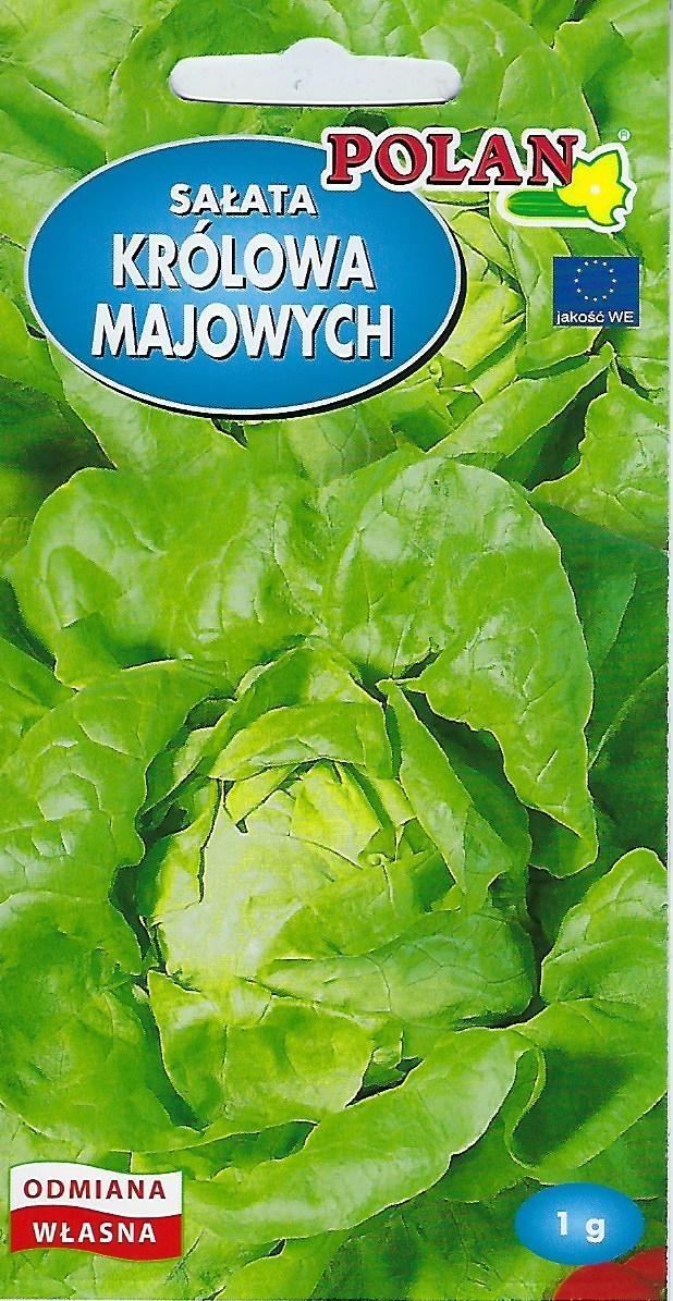 Semințe Polan Maslowa Salata Królowa Majowych 1g