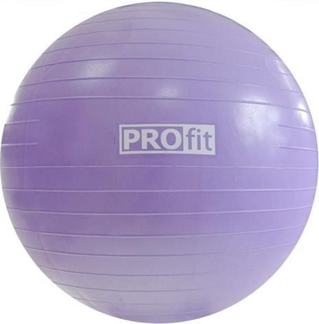 Minge de gimnastică Profit 75 cm violet cu pompă (P5123)