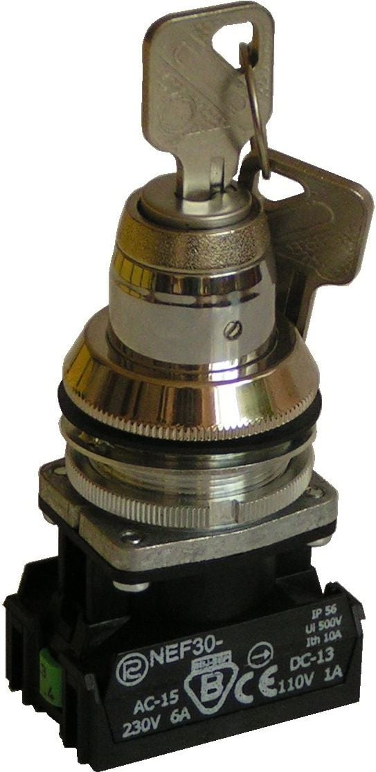 Comutator 2 supapă de poziție cheie 30mm instabilă argint 1Z 1R fără NEF30TZbM automată (W0-NEF30 TZBM-XY)