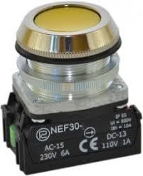 2Z galben buton de control 30mm (W0-NEF30 2X K-G)
