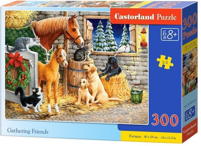 Puzzle Castorland, Prieteni necuvantatori, 300 piese