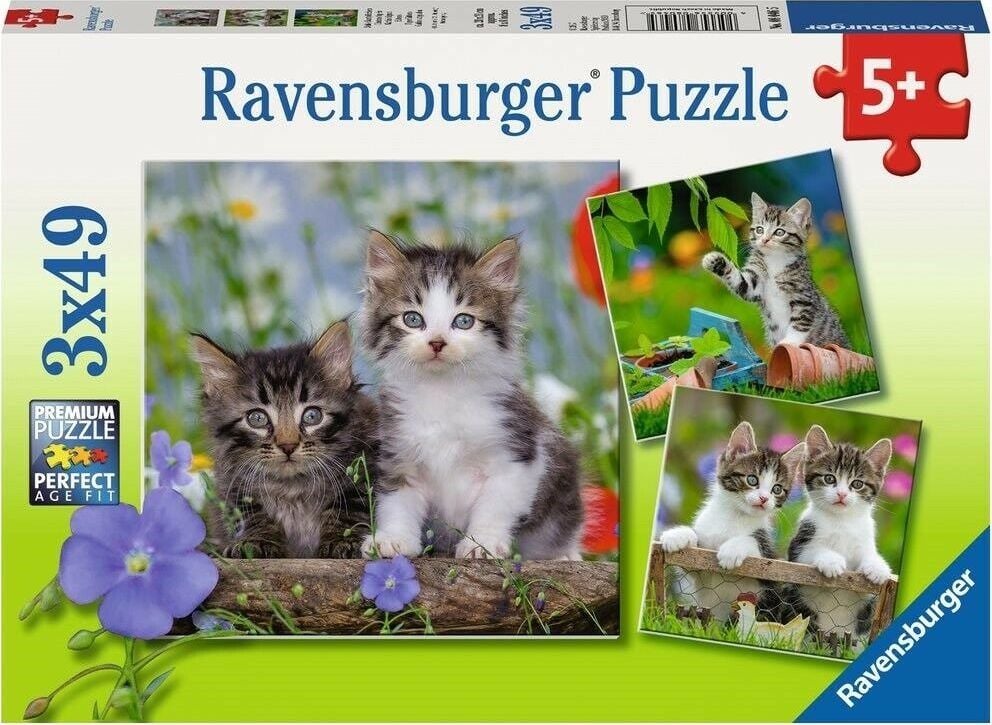 Puzzle Ravensburger - Kittens, 3x49 piese (08046)