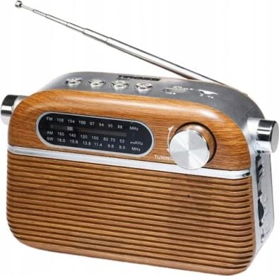 Radio Baterie TS-461 Tiross