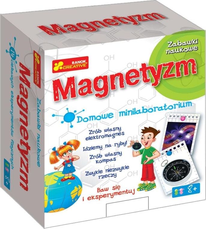 Mini-laborator de casă - Magnetism