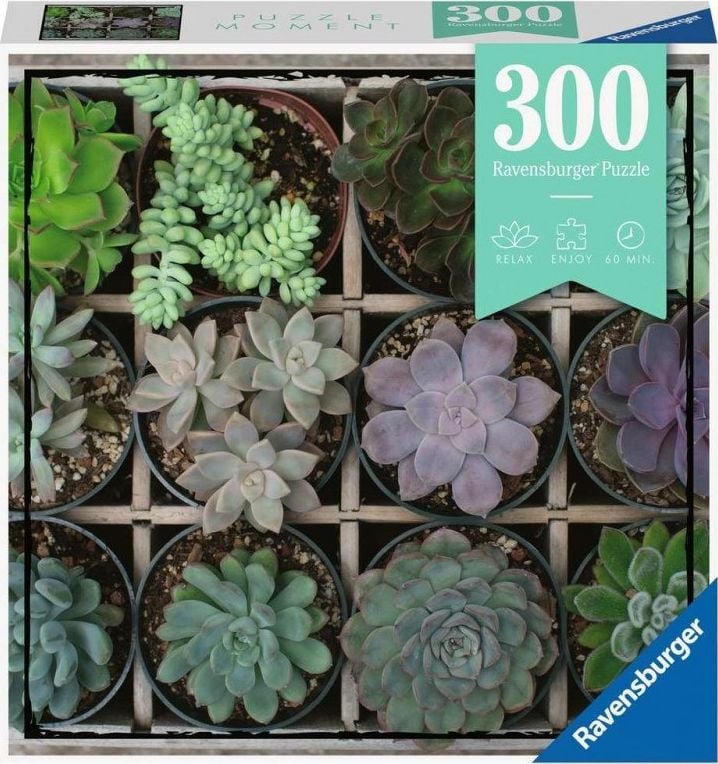 Puzzle Ravensburger - Plante Suculente, 300 Piese