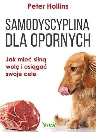 Autodisciplină pentru manechini. Cum să ai o voință puternică și