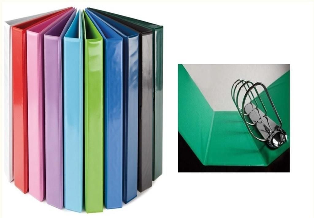 Bibliorafturi - Binder licitare Panța Plast (0316-0024-04)