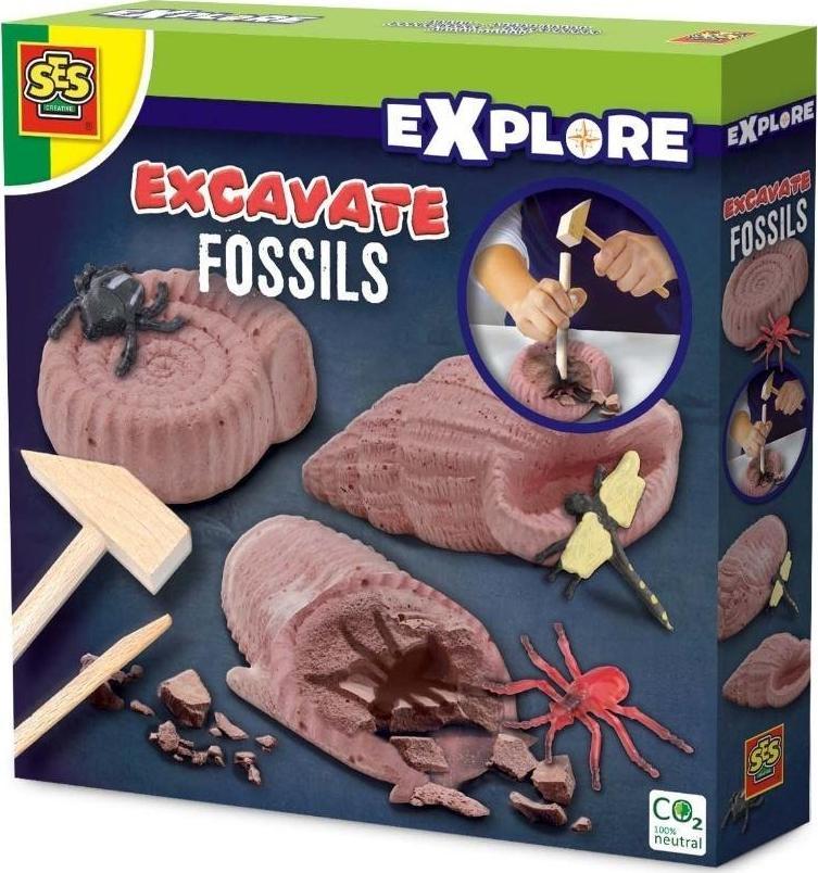 SES Fosil Excavation