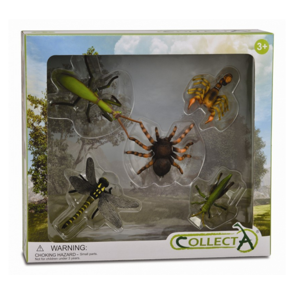 Set 5 figurine Insecte - Collecta