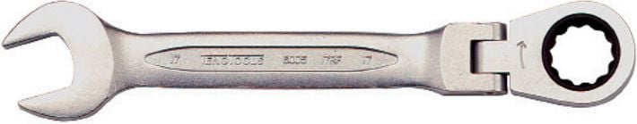 spanners Asocierea cu clichet comun și 17mm (131891004)