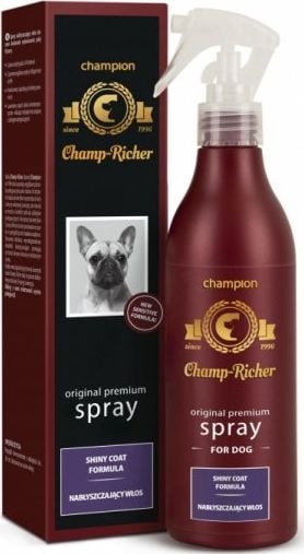 Spray pentru stralucire Champ Richer - 250 ml