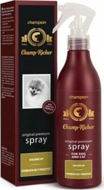 Spray pentru volum Champ Richer 250 ml