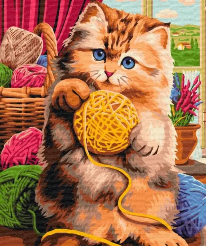 Symag Obraz Pictură după numere - Pisica cu fire