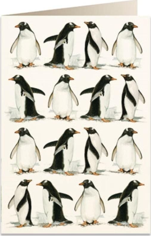 Card Tassotti B6 + plic 5608 Pinguini