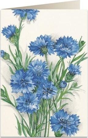 Tassotti Card B6 + plic 7514 Cornflower