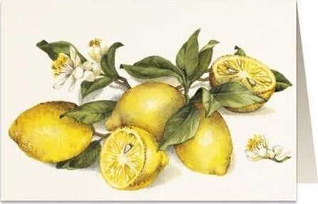 Tassotti Card B6 + plic 8903 Lemon